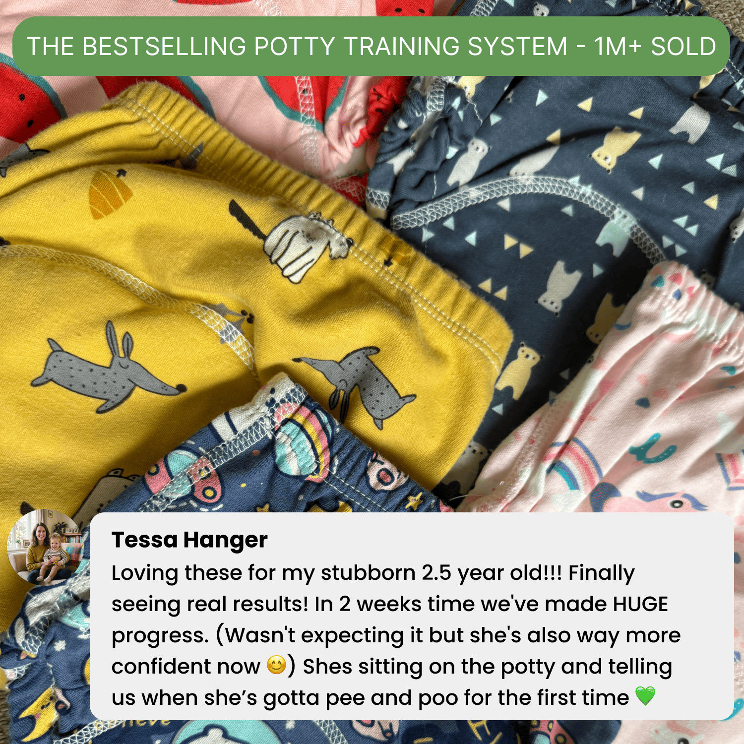 Potty Training Underwear