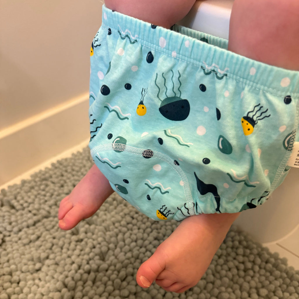 Potty Training Underwear